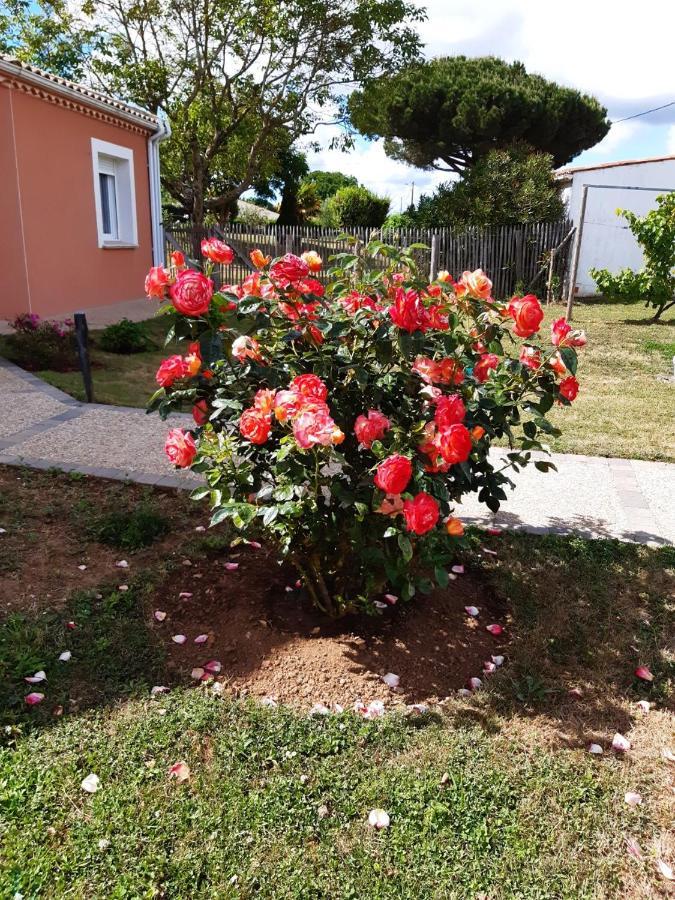 La Jonchere Appartement Independant A 10Min Des Plages Au Calme Proche O'Gliss Et O'Funparken Campagne מראה חיצוני תמונה